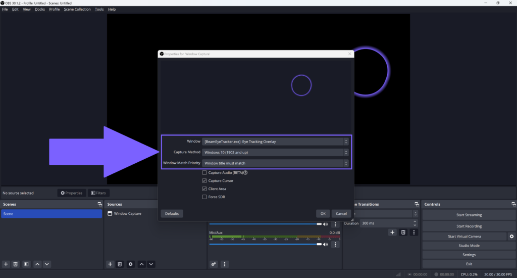 OBS - Beam Eye Tracker Overlay - Windows