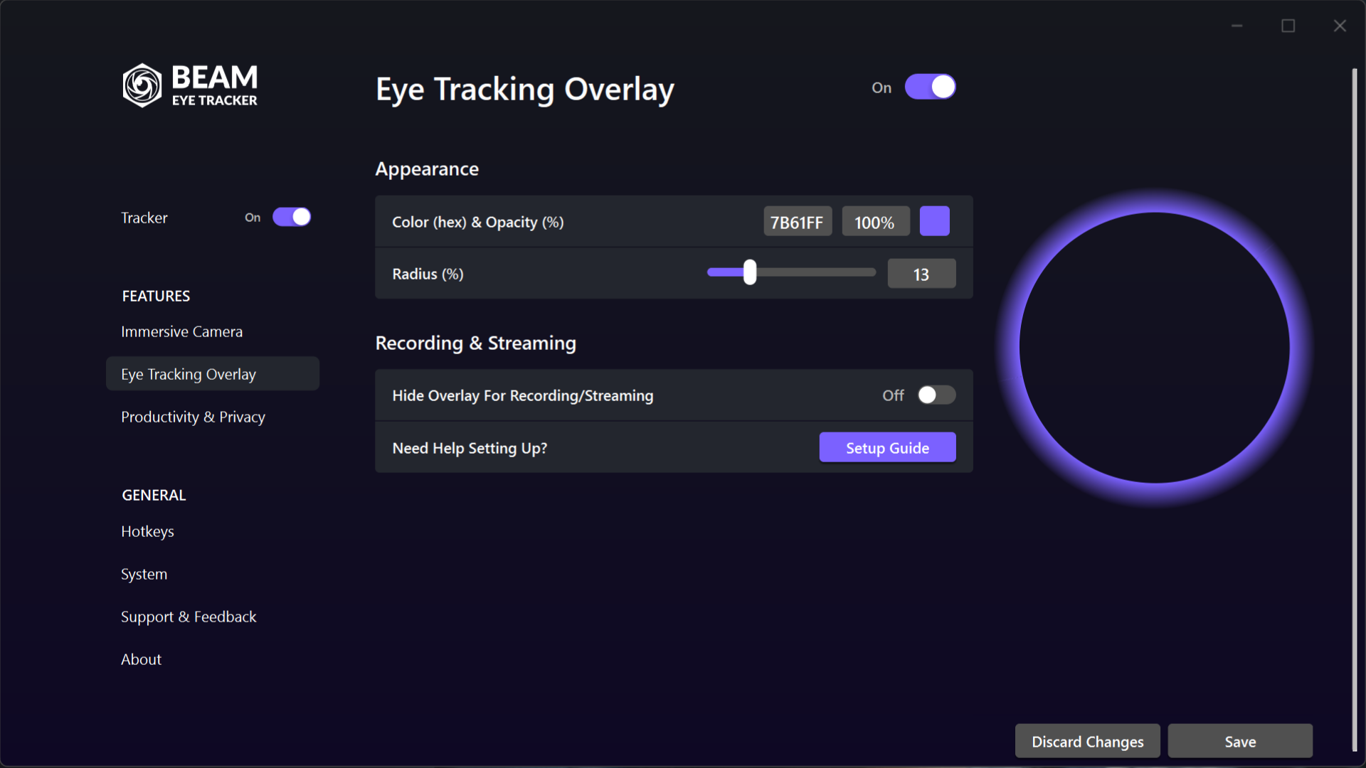 Eye tracking overlay settings